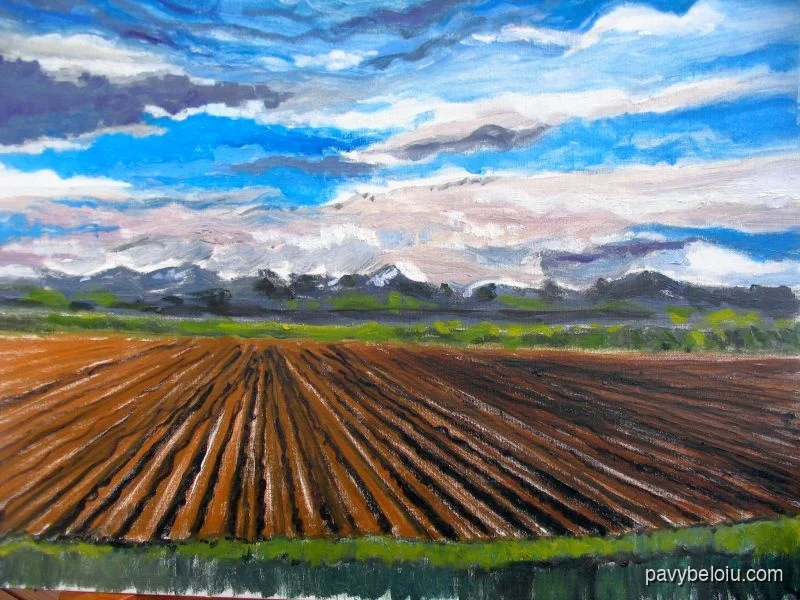 field with clouds