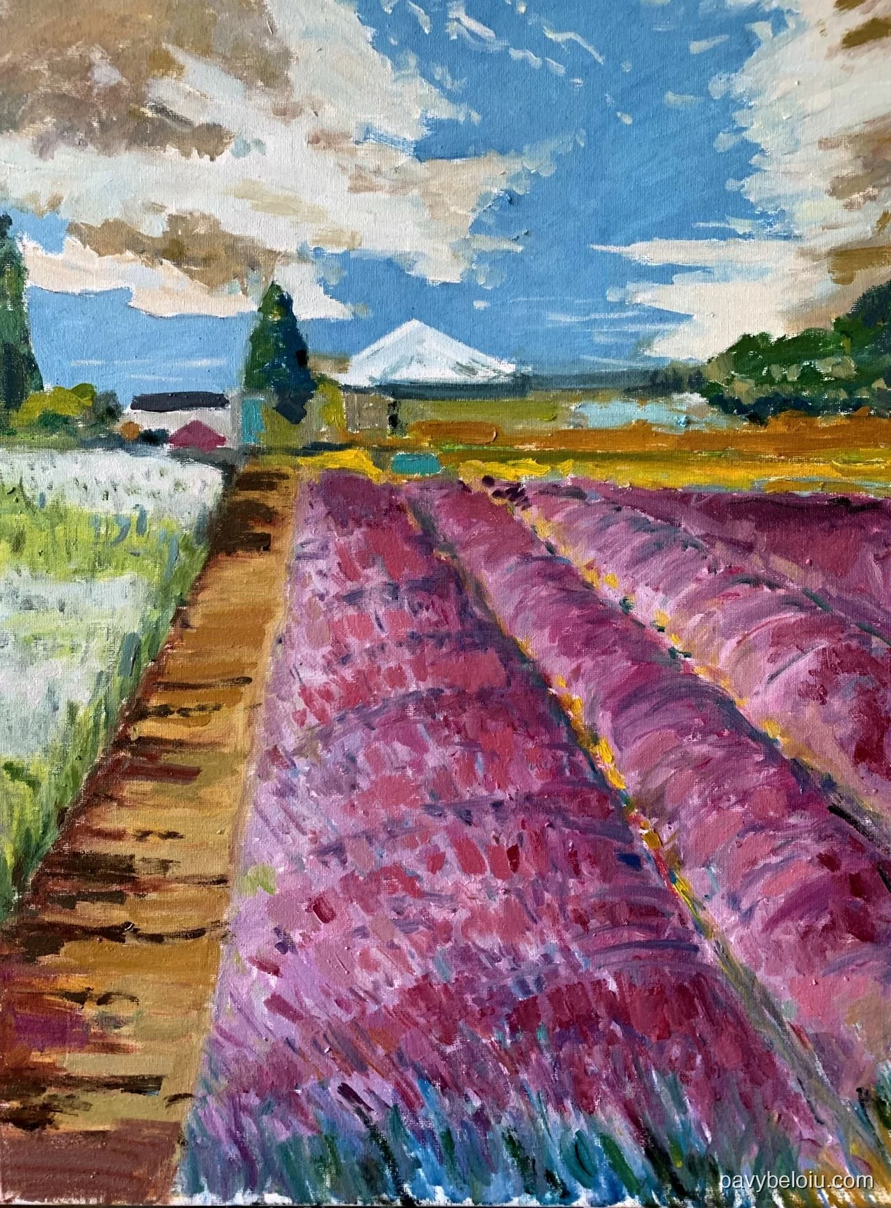 Lavender and Mt Hood