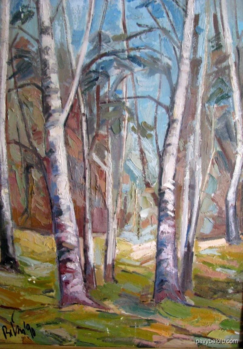 birch trees 1