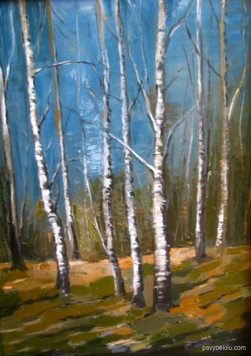 birch trees 2