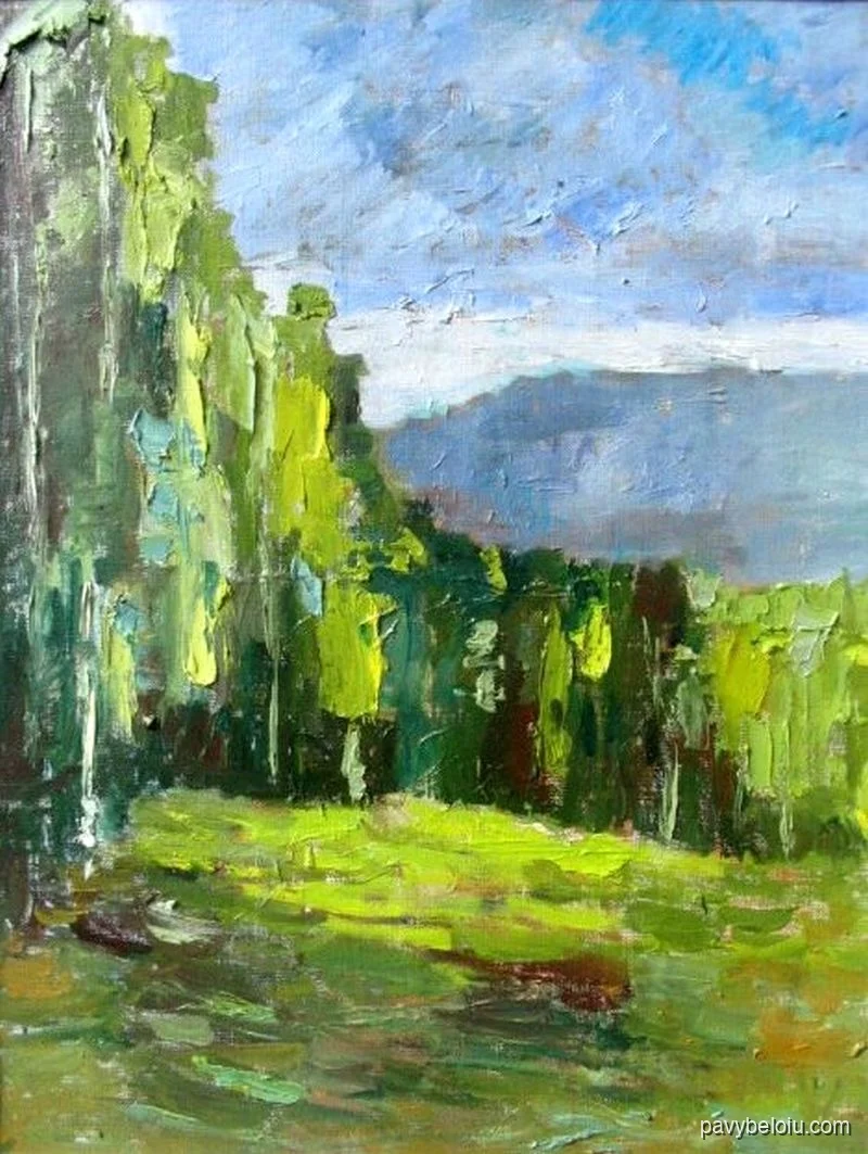 birch trees 3