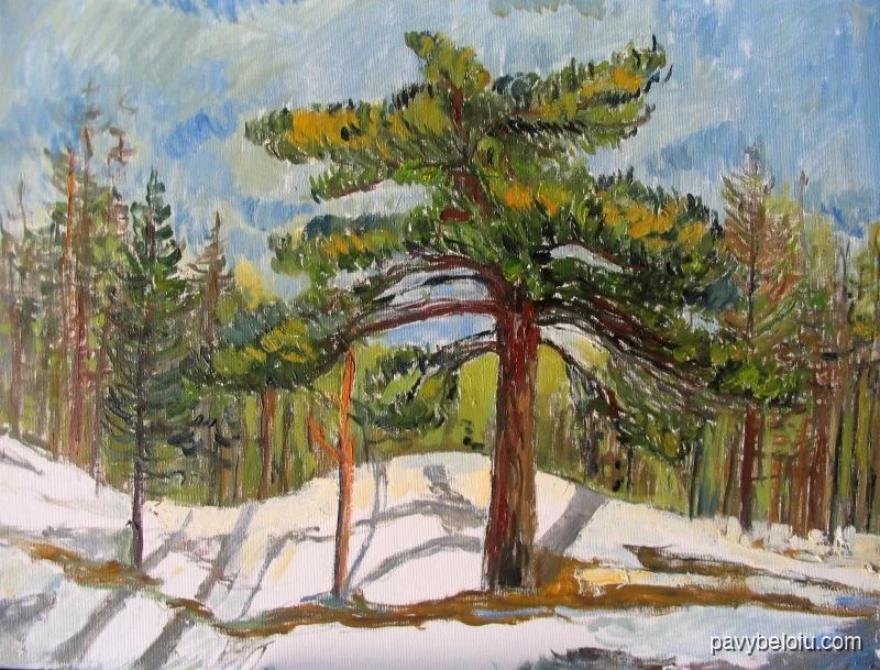 Pinos