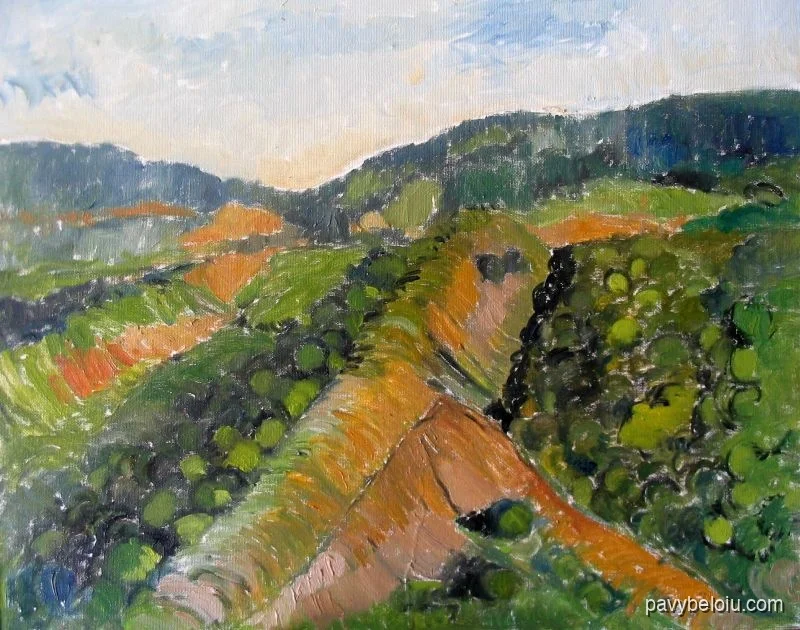 towsley canyon